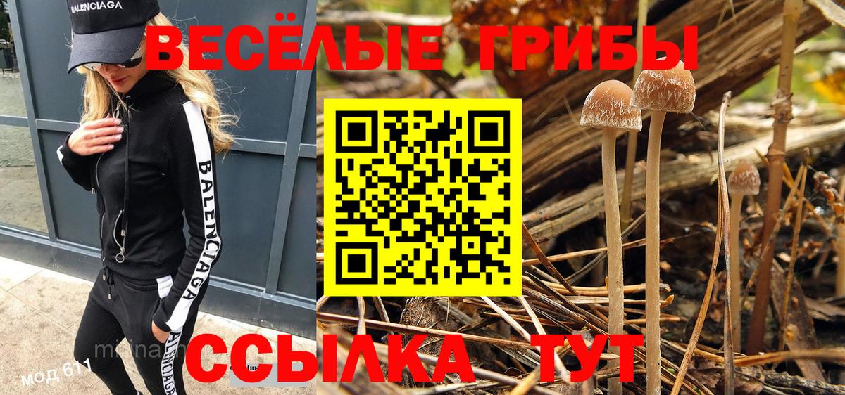 Псилоцибиновые грибы Magic Shrooms  Вход с VPN  Вольск 